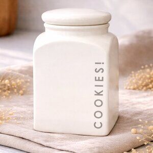 Vintage Claire Wilson's Large Ceramic Cookies Canister "Point Claire" Line